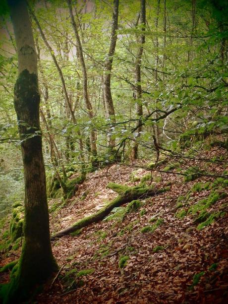 Echappée jurassienne, retour en images!