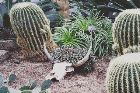 MONTREAL : Magie du jardin et découverte au Biodome