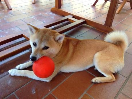 les vacances... (qu'est ce que je vend pour les vacances)