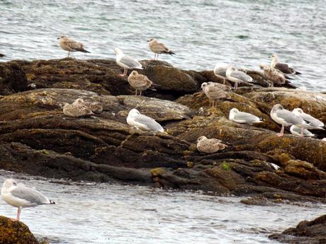 se faire une mouillette