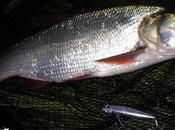 sortie difficile Loire