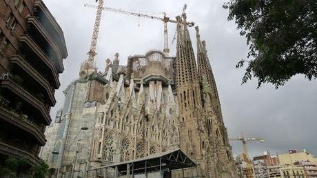 Photo (c) Amaury van Hoorebeke