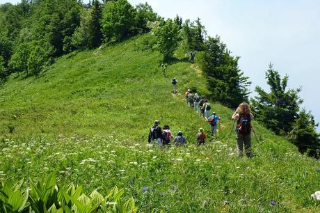 Marche Nordique dans le Vercors