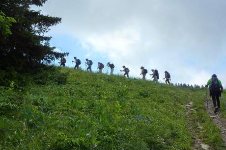 Marche Nordique dans le Vercors