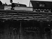 Veulettes baguette matin