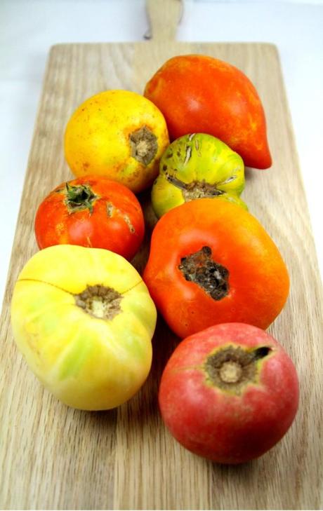 Collection de tomates huile de kumquat et marjolaine
