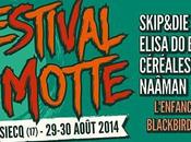 Festival Motte Siecq (17)