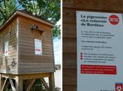 pigeonnier anti-pigeons