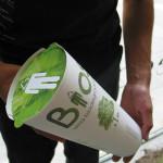 GREEN : Des urnes funéraires poétiques