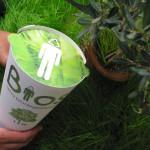 GREEN : Des urnes funéraires poétiques