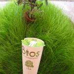 GREEN : Des urnes funéraires poétiques