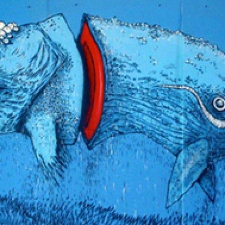  CRAZY ANIMALS   BAULT street art 