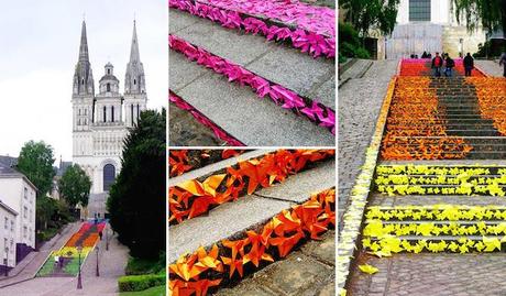 the-most-beautiful-steps-and-stairs-around-the-world-angers-france