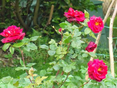 Calendrier lunaire septembre octobre 2014