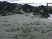 [Article 4619]La cuvée fraîche 14/08/14