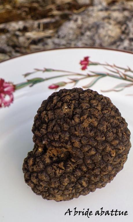 Que faire avec une truffe d'été ?
