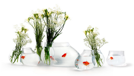 Coup de ♥ : Le vase aquarium