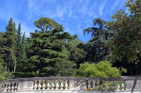 Jardins de la Fontaine, Nîmes, Languedoc-Roussillon, Parcs, Jardiniers, botanistes, paysages, plantes, fleurs, nature,