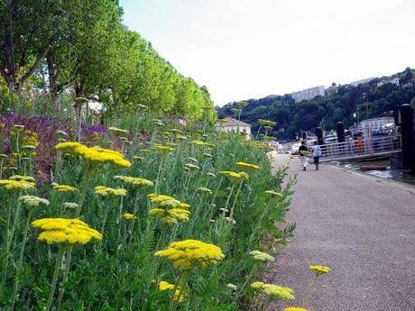 Mon carnet de voyage et mes endroits préférés à Lyon