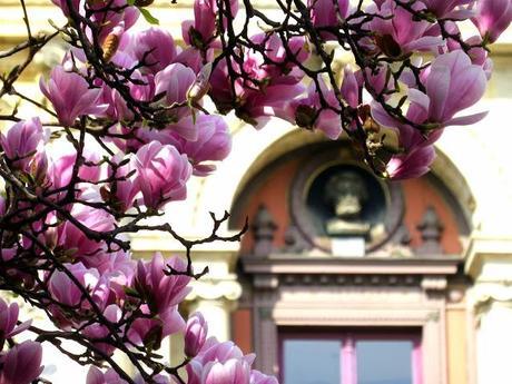 Mon carnet de voyage et mes endroits préférés à Lyon