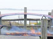 Saint-Froult (17) observatoire pour oiseaux incendié