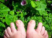 vacances Holiday Atmosphere