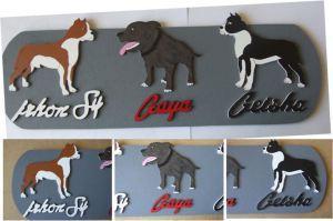 10013509_698759876862301_3195570830291586813_n