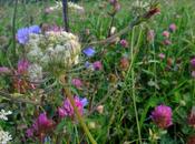 Retour image: variations l'échappée jurassienne!