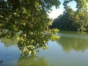 cours tranquille Marne pour illustrer journée d'hier.