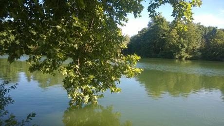 Le cours tranquille de la Marne pour illustrer la journée d'hier.
