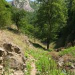 Montée vers la bergerie