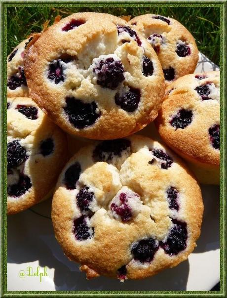 Visitandine aux mûres