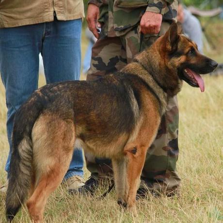 Des gardiens sur la base