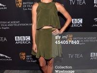 BAFTA Los Angeles TV Tea 2014/Dance Party 