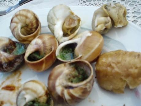 Un petit tour chez les invertébrés