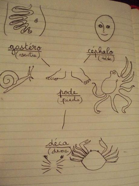 Un petit tour chez les invertébrés