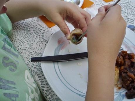 Un petit tour chez les invertébrés