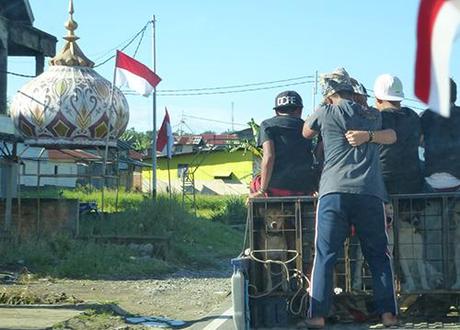 Dogs-fights-minang