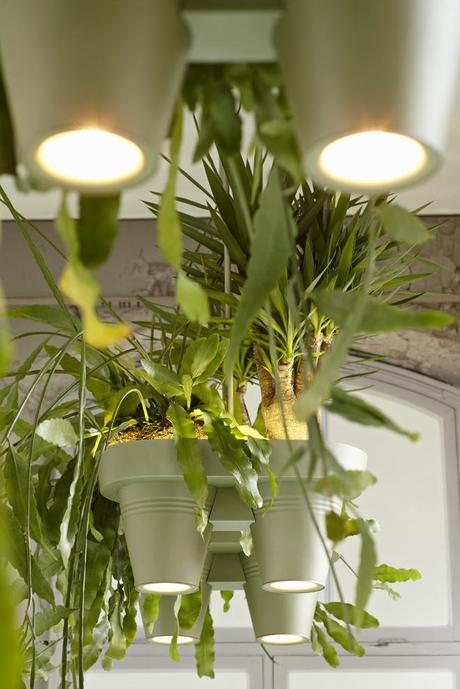 1-bucketlights-pendant-lamp-that-lights-grows-cleans-the-air-by-roderick-vos