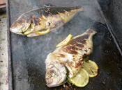 Dorade grise plancha