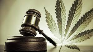 Comprendre la Décriminalisation de l'Usage de la Marijuana