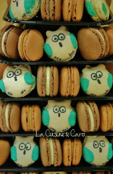 macaron_vanille_café_menthe_chocolat_hibou_chouette