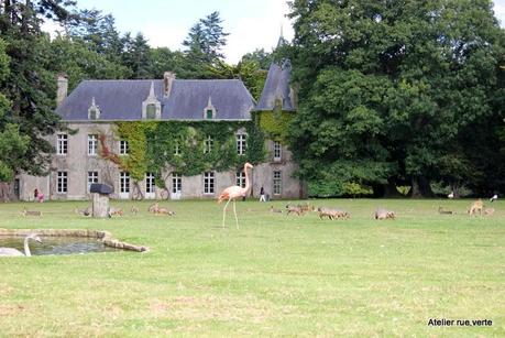 Bretagne / Parc animalier au château de Branféré /