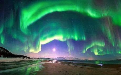 Aurora over Steinsvik Sea Coast, Troms, Northern Norway