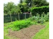 Déco-Jardin Chronique d’un potager ordinaire trois mois demi après premières plantations