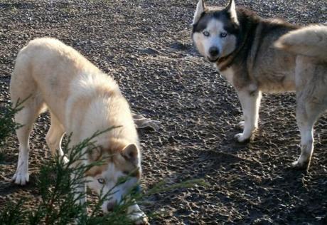 1800098 841167672575201 891170426194107574 o