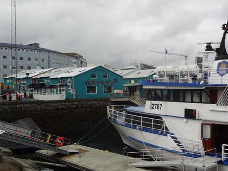 Reykjavik's harbour