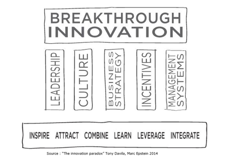 The innovation Paradox approach_Tony Davila Marc Epstein 2014