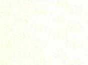 Valérie Canat Chizy [L’écriture s’étiole]