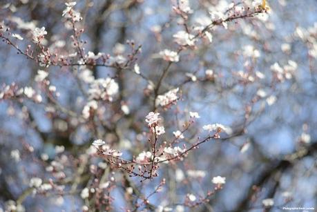 Un jean Flare et du rose poudré